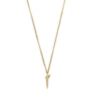 Shark Tooth Necklace